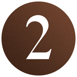 Etapa 2